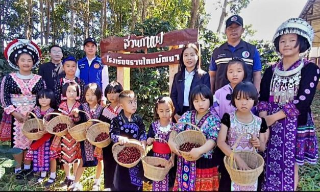 ตาก โรงเรียนรวมไทยพัฒนา 3 สืบสานกาแฟโครงการพระราชดำริ”พัฒนากาแฟอินทรีย์จากยอดดอยพบพระ”