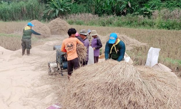 เชียงราย มณฑลทหารบกที่ 37 จัดกำลังพลจิตอาสาพระราชทาน จัดกิจกรรม “ช่วยด้วยใจ ลดรายจ่าย สร้างรายได้”