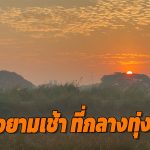 อ่างทอง ความสวยงามของแสงยามเช้า ที่กลางทุ่งนา  ตำบลย่านซื่อ  มีหมอกลงปกคลุมขาวโผลนไปทั่ว  เป็นความสวยงามยามเช้า  ท่ามกลางพระอาทิตย์ที่กำลังส่องแสง