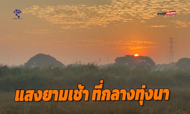 อ่างทอง ความสวยงามของแสงยามเช้า ที่กลางทุ่งนา  ตำบลย่านซื่อ  มีหมอกลงปกคลุมขาวโผลนไปทั่ว  เป็นความสวยงามยามเช้า  ท่ามกลางพระอาทิตย์ที่กำลังส่องแสง