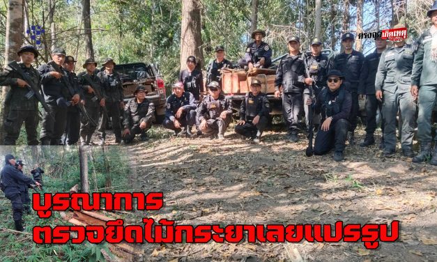 ชุดปฏิบัติการพิเศษ สจป. 3 สาขาแพร่ บูรณาการ  ตรวจยึดไม้กระยาเลยแปรรูป(ชิงชัน) 15 แผ่น/เหลี่ยม ส่งดำเนินคดี
