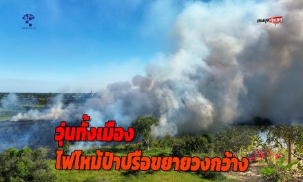 อ่างทอง วุ่นทั้งเมืองไฟไหม้ป่าปรือขยายวงกว้างกลางทุ่งนารถดับเพลิงเข้าไม่ถึง  ชาวบ้านเห็นกลุ่มควันชัดทั่วเมืองรถดับเพลิงได้แต่สแตนบายตามบ้านเรือนประชาชน