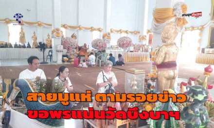 ปทุมธานี สายมูแห่ตามรอยข่าว ขอพรแน่นวัดบึงบาฯ ไอ้ไข่วัดบึงบาให้โชคให้งาน แม่ตะเคียนทองเปิดรับเงินก้อนโตตั้งแต่ครั้งแรก