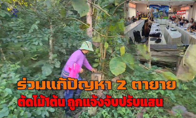 ลำปาง นายอำเภอวังเหนือเชิญหน่วยงานที่เกี่ยวข้องประชุมหาสาเหตุและร่วมแก้ปัญหาความขัดแย้งในหมู่บ้าน หลังเกิดดรามา ครอบครัว2ตายายตัดไม้1ต้นถูกแจ้งจับปรับแสน