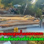 อ่างทอง ชาวนาระดมเครื่องสูบน้ำออกนาพื้นที่นาน้ำท่วมหลายพันไร่เพื่อเก็บเกี่ยวข้าวที่กำลังออกรวงสุกงอม 