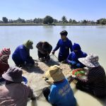 กาฬสินธุ์ กุ้งก้ามกรามขายดีเป็นประวัติการณ์ ขาดตลาดแล้ว