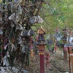 สกลนคร ตะลึงพบโครงกระดูกป่าอาถรรพ์