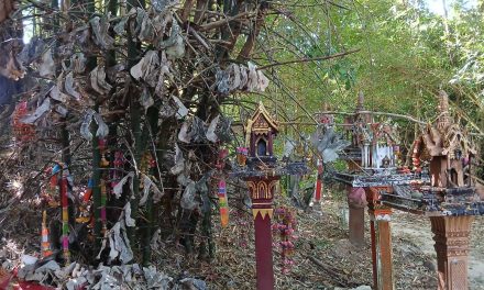 สกลนคร ตะลึงพบโครงกระดูกป่าอาถรรพ์