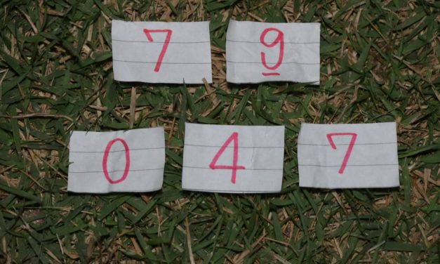 อ่างทอง มาแล้วเลขเสี่ยงทายพญาบึ้งตามวิถีความเชื่อของนักเสี่ยงดวง  ได้ตัวเลข 79 – 047  ไปเสี่ยงดวง