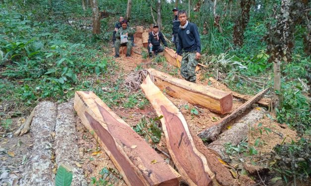 แพร่ สจป.3 แพร่  บูรณากำลังฯ ตรวจยึดไม้ประดู่ ไม้ชิงชัน และยาบ้าฯ ของกลางอีกเพียบ