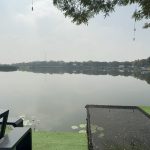 อ่างทอง ฮือฮาพบปลากระเบนด่างน้ำจืดพันธุ์โมโตโร่พรานเบ็ดจับได้ในบ่อตกปลา