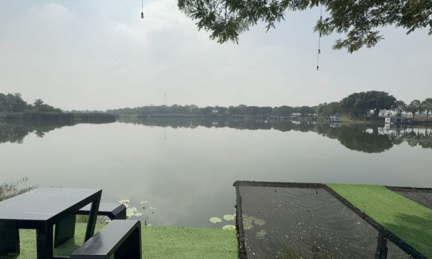 อ่างทอง ฮือฮาพบปลากระเบนด่างน้ำจืดพันธุ์โมโตโร่พรานเบ็ดจับได้ในบ่อตกปลา