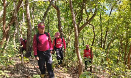 ศูนย์อำนวยการจิตอาสาพระราชทานจังหวัดน่าน ติดตามการแก้ไขปัญหาไฟป่าหมอกควัน และฝุ่นละออง PM 2.5 ในพื้นที่