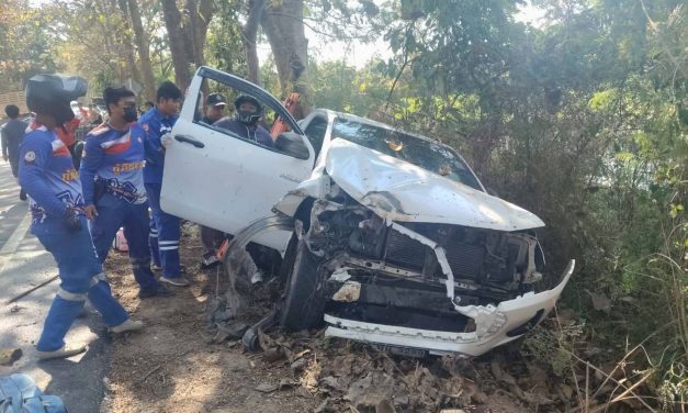 พะเยา ระทึก! กระบะบรรทุกปลาเสียหลักชนต้นไม้ ปลานองถนน