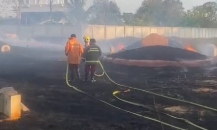 พะเยา  เพลิงโหมป่าสุสานจีน ลามไหม้หลังโกดังนม ควันดำคลุ้ง