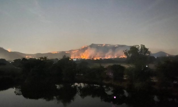 เพชรบุรี เจ้าหน้าที่เร่งควบคุมไฟป่าพื้นที่รอยต่อหัวหิน -ชะอำ                  