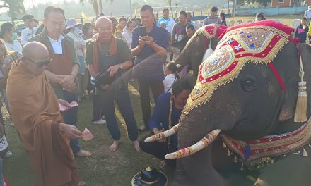 ชัยภูมิ ฮือฮาช้างแสนรู้ 2 เชือกร่วมบิณฑบาตกับพระเกจิชื่อดัง