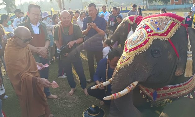 ชัยภูมิ ฮือฮาช้างแสนรู้ 2 เชือกร่วมบิณฑบาตกับพระเกจิชื่อดัง