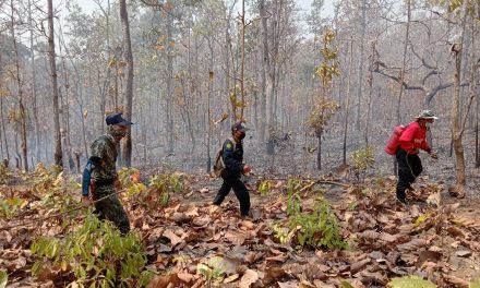  จ.แม่ฮ่องสอน เตรียมพร้อม มาตรการหลักในการป้องกันแก้ไขปัญหาไฟป่าหมอกควัน หากพบกระทำความผิดลอบเผาป่า เจอจริงจับจริง