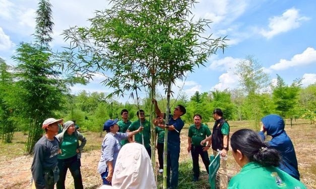 แพร่ รอง ผอ.ออป สายธุรกิจ1ฯ ลงพื้นที่ตรวจและติดตามการงานสวนป่าฯ แปลงปลูกไม้สักผสมผสานไผ่ซางหม่น