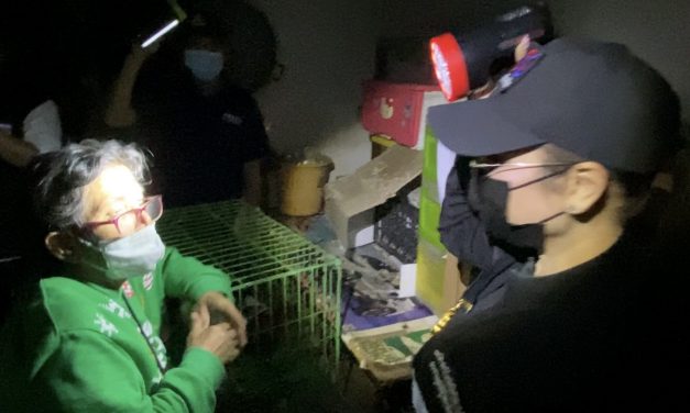 นนทบุรี  มูลนิธิดังบุกช่วยแมว 20 ตัว ถูกใส่กุญแจล็อคขังไว้ในห้องอดน้ำอาหารมาถึง 6 วัน