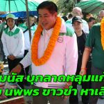 ปทุมธานี ธรรมนัส บุกลาดหลุมแก้ว ช่วย นพพร ขาวขำ หาเสียงส่งสัญญาณชิงเก้าอี้ปริมณฑล