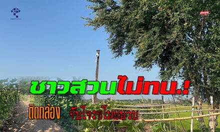 อ่างทอง ชาวสวน หมู่ที่ 8  ตำบลโพสะ  ไม่ทน ยอมลงทุนติดกล้องวงจรปิดจับโจรขโมยบวบ