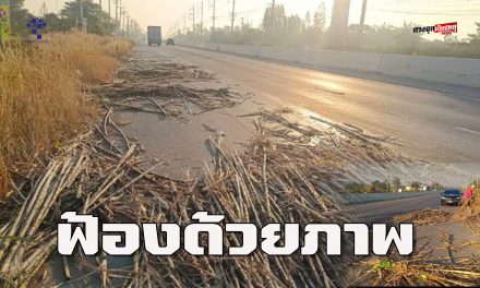 ชัยภูมิ ผู้ใช้ถนนโวยรถบรรทุกทำอ้อยตกใส่ถนนเกลื่อน ชาวบ้านขับจยย.ล้มบาดเจ็บ1ราย