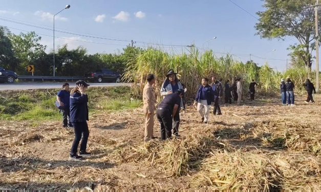 ผู้ว่า อุทัย ฯ ติวเข็มตัดอ้อยสด งดเผาอ้อยป้องกัน PM 2.5ไม่ให้ชาวไร่อ้อย เป็นจำเลยสังคมปม PM 2.5