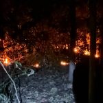 แพร่ จนท.พร้อมรถดับเพลิงฯเข้าสกัดไฟไหม้สวนสักบริเวณหน้าโรงเก็บพัสดุ ม. 6 ต.บ้านกลาง อ.สอง