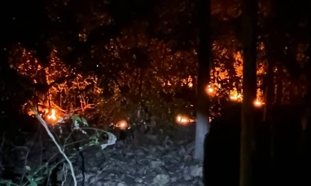 แพร่ จนท.พร้อมรถดับเพลิงฯเข้าสกัดไฟไหม้สวนสักบริเวณหน้าโรงเก็บพัสดุ ม. 6 ต.บ้านกลาง อ.สอง