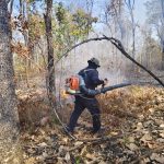 เชียงใหม่ ดอยเต่าควบคุมไฟป่าได้แล้ว! ดับครบ 3 จุดความร้อน ภายในช่วงเช้า บุคลากรปลอดภัยทุกนาย