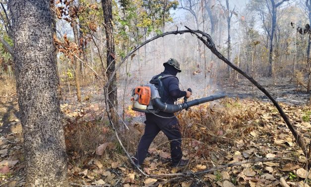 เชียงใหม่ ดอยเต่าควบคุมไฟป่าได้แล้ว! ดับครบ 3 จุดความร้อน ภายในช่วงเช้า บุคลากรปลอดภัยทุกนาย