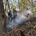 เชียงใหม่ แม่วางเดินหน้าดับไฟ ควบคุมสถานการณ์ได้แล้ว 2 จุดความร้อน