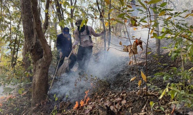 เชียงใหม่ แม่วางเดินหน้าดับไฟ ควบคุมสถานการณ์ได้แล้ว 2 จุดความร้อน