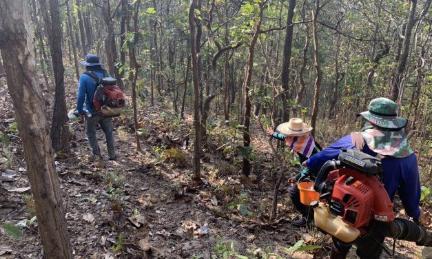 เชียงใหม่ อำเภอเชียงดาวเร่งเดินหน้าจัดทำแนวกันไฟเชิงรุก ป้องกันไฟป่าในพื้นที่เสี่ยง
