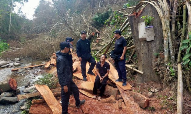 แพร่ สั่งเข้ม ! “ธนรัตน์  แปงใจ” ผอ.สจป.3 แพร่ สั่งสนธิกำลังฯ ตรวจยึดไม้ขบวนการไม้เถื่อน ของกลางพร้อมยาบ้าเพียบ