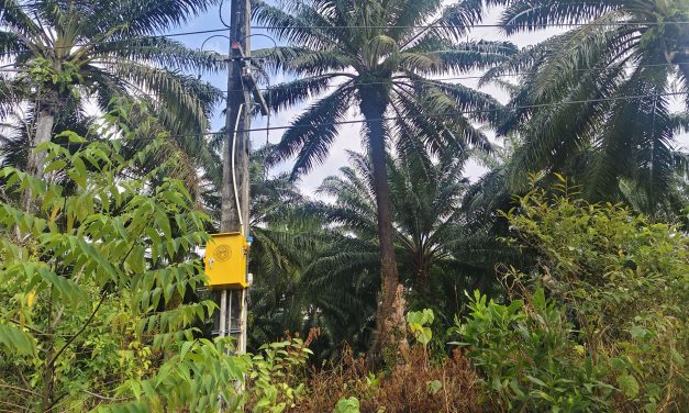 พังงา – โจรแสบฉวยโอกาสตัดสายไฟ ขโมยหม้อแปลง ในพื้นที่ 3 โรงพัก ทำไฟถนนเพชรเกษมหลายจุดดับ หวั่นอุบัติเหตุยามค่ำคืนมูลค่าความเสียหายกว่าเกือบล้านบาท