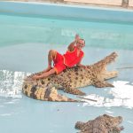 กาญจนบุรี – คึกคักสวนสัตว์เปิดซาฟารีปาร์ค!