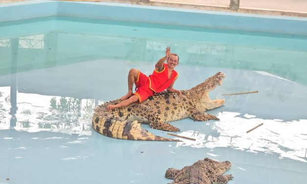 กาญจนบุรี – คึกคักสวนสัตว์เปิดซาฟารีปาร์ค!