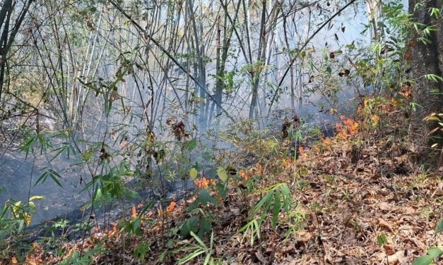 ระดมชุด “เสือไฟ” สกัดไฟป่ากาญจนบุรี หลังพบ Hotspot พุ่ง เสี่ยงลุกลามเข้าอุทยานฯ ไทรโยค