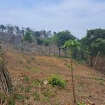 กาญจนบุรี – เลขา ส.ป.ก.ร่อนหนังสือถึงผู้ว่าราชการจังหวัด กำชับตรวจสอบการถือครองที่ดินในในเขตปฏิรูปที่ดินโดยมิชอบด้วยกฎหมาย จ.กาญจน์ มีที่ ส.ป.ก.กว่า 7 แสนไร่