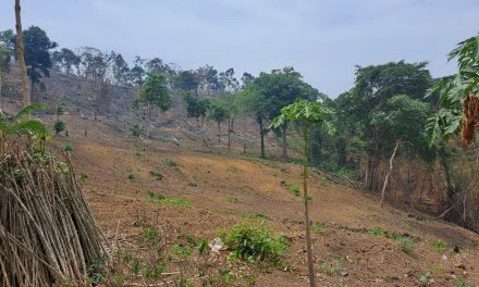 กาญจนบุรี – เลขา ส.ป.ก.ร่อนหนังสือถึงผู้ว่าราชการจังหวัด กำชับตรวจสอบการถือครองที่ดินในในเขตปฏิรูปที่ดินโดยมิชอบด้วยกฎหมาย จ.กาญจน์ มีที่ ส.ป.ก.กว่า 7 แสนไร่