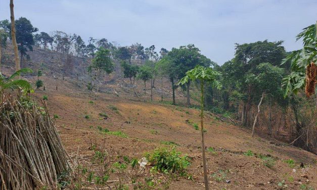 กาญจนบุรี – เลขา ส.ป.ก.ร่อนหนังสือถึงผู้ว่าราชการจังหวัด กำชับตรวจสอบการถือครองที่ดินในในเขตปฏิรูปที่ดินโดยมิชอบด้วยกฎหมาย จ.กาญจน์ มีที่ ส.ป.ก.กว่า 7 แสนไร่