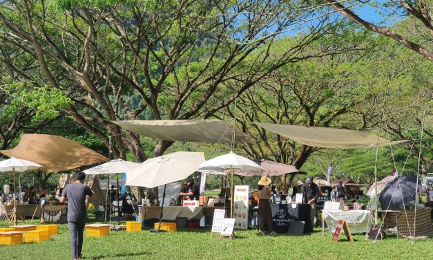 ททท.พังงา เปิดแคมเปญ Phang Nga Camping Vibe 2026 พังงาแคมป์ปิ้งระดับภูมิภาค ท่องเที่ยวได้ตลอดปี