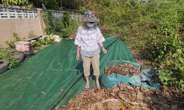 นครนายก – อดีตครูใช้ชีวิตพอเพียงผันตัวเองเป็นชาวสวนปลูกผักกินเอง