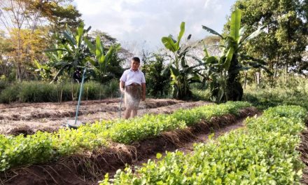 น่าน โครงการทหารพันธุ์ดี “ชุมชนเบิกบาน อาหารปลอดภัย” พัฒนาแหล่งอาหาร และสร้างแหล่งเรียนรู้ 