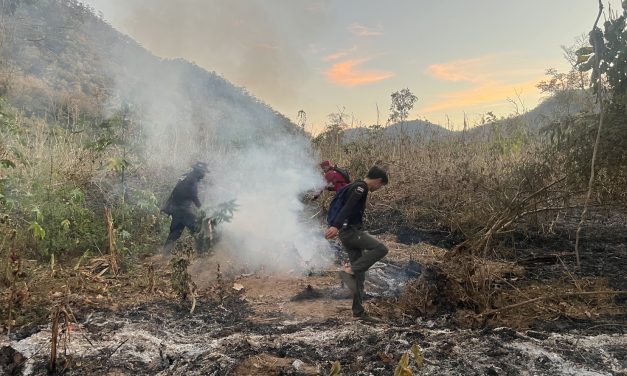 แม่ฮ่องสอน ยังคงมีการลอบเผาป่าในหลายพื้นที่ ทั้งที่มีโทษหนักแต่ไม่หวาดเกรงแต่อย่างใด หน่วยงานป่าไม้และกำลังผสม ต้องเร่งตรวจสอบและดับไฟป่าทุกวัน