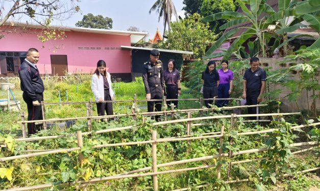 พิษณุโลก ผู้บัญชาการกองบัญชาการช่วยรบที่ 3 เยี่ยมชม โครงการสวนเกษตรพอเพียง  โรงเรียนวัดยางเอน (ประชานุเคราะห์) 