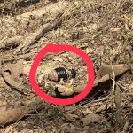 ชาวบ้านไปสวนผงะ! พบวัตถุระเบิดแบบขว้าง ริมทางสวน พื้นที่ สภ.ภูเพียง จ.น่าน